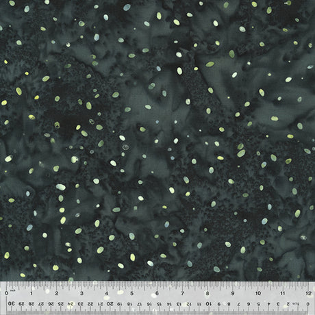 2483Q-X-1-0155Y000005rz2xQAA.jpg