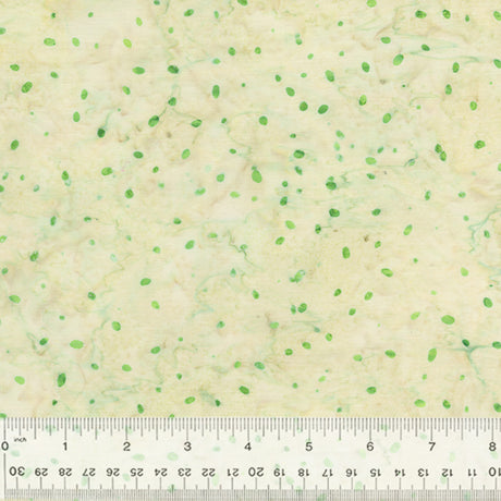 2528Q-X-1-015Ud00000082CkIAI.jpg