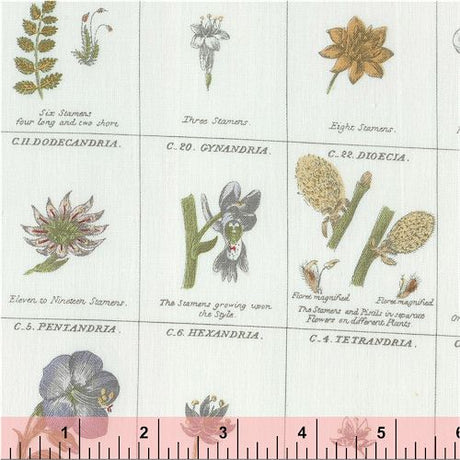 fabric_image