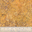 2774Q-X-1-015Ud000001OEioIAG.jpg