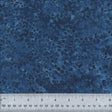 2818Q-X-1-015Ud000002NzxiIAC.jpg
