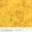 2883Q-X-1-015Ud00000AngObIAJ.jpg