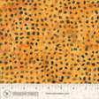 2887Q-X-1-015Ud00000AngRnIAJ.jpg
