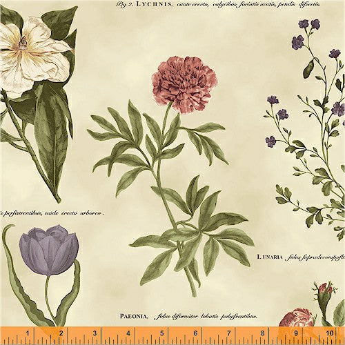 fabric_image