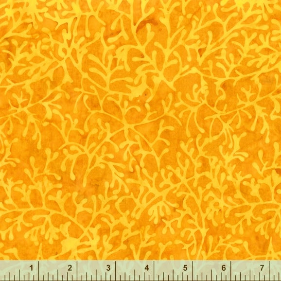 3172Q-X-1-015Ud000007NKExIAO.jpg