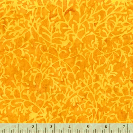 3172Q-X-1-015Ud000007NKExIAO.jpg