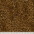 32742-X-1-0155Y000005jB6gQAE.jpg