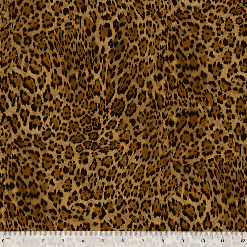 32742-X-1-0155Y000005jB6gQAE.jpg