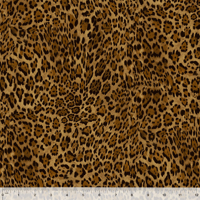32742-X-1-0155Y000005jB6gQAE.jpg