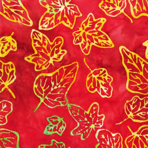 335Q-3-1-015Ud000008HlXOIA0.jpg