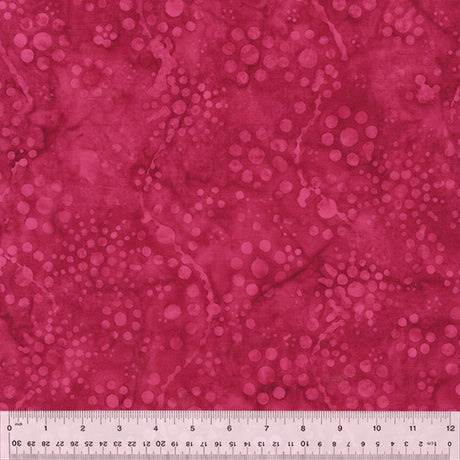 3372Q-X-1-0155Y000005s10KQAQ.jpg