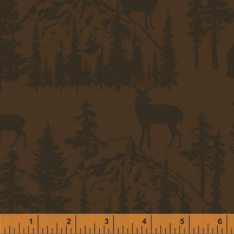 fabric_image