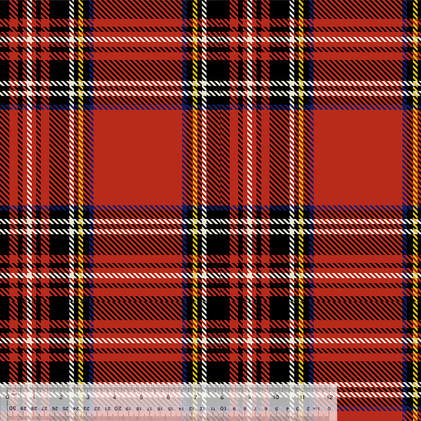 35029-1-1-0155Y000005jBjyQAE.jpg