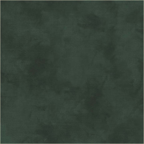 37098-109-1-015Ud00000Aq9uIIAR.jpg