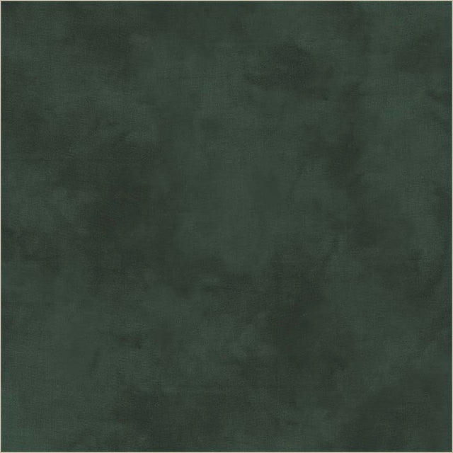 37098-109-1-015Ud00000Aq9uIIAR.jpg