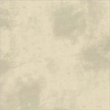 37098-128-1-015Ud00000AqBCwIAN.jpg