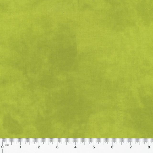 37098-45-1-0155Y000005rziUQAQ.jpg