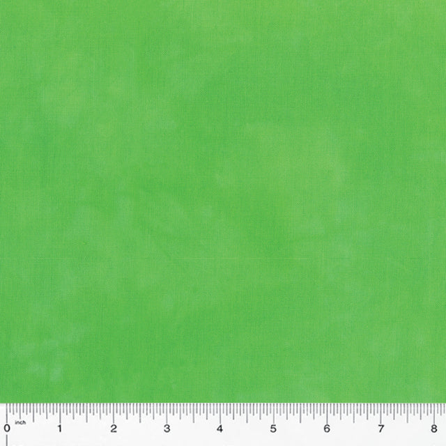 37098-76-1-0155Y000005rzkzQAA.jpg