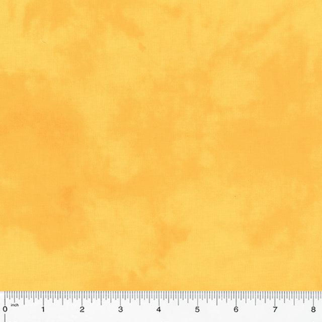 37098-98-1-0155Y000005rzmqQAA.jpg