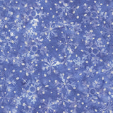 3898QM-X-2-015Ud00000AoDpDIAV.jpg
