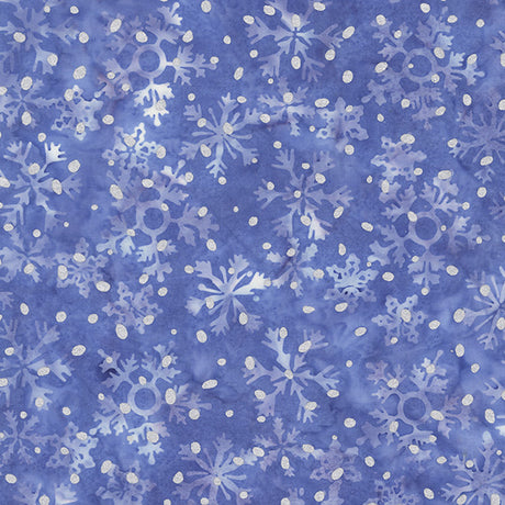 3898QM-X-2-015Ud00000AoDpDIAV.jpg
