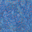 3948Q-X-1-015Ud00000IMBIcIAP.jpg