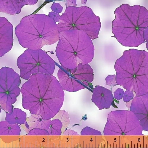 fabric_image