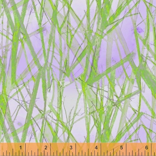fabric_image