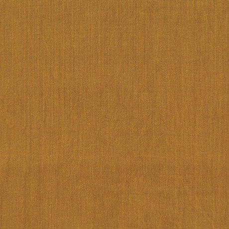 40171-112-1-0155Y000004enL5QAI.jpg
