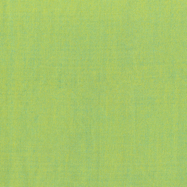 40171-44-1-0155Y000004enJdQAI.jpg