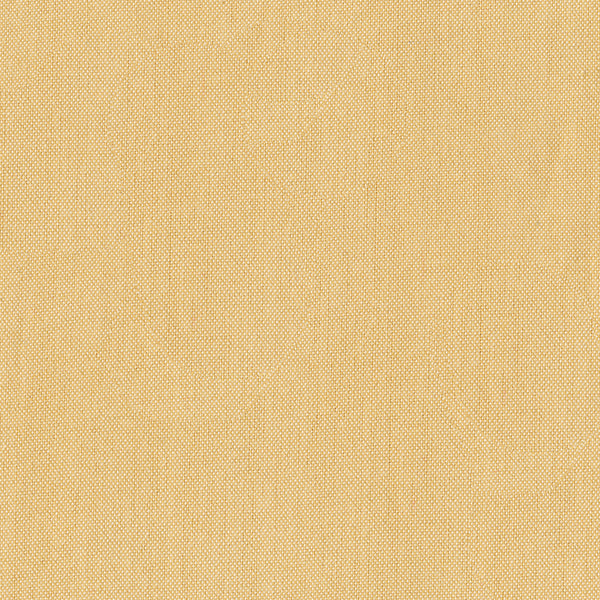 40171-54-1-0155Y000004enJJQAY.jpg