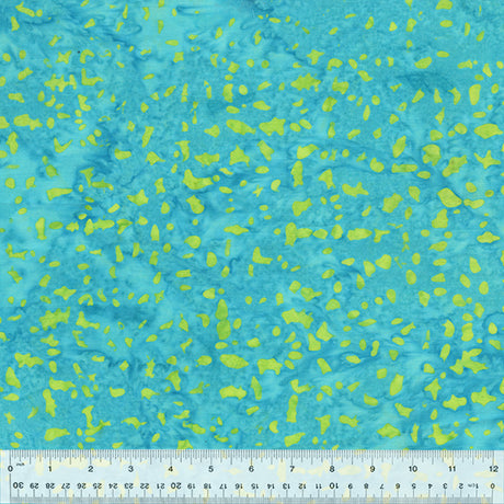431Q-5-1-0155Y000005s0x6QAA.jpg