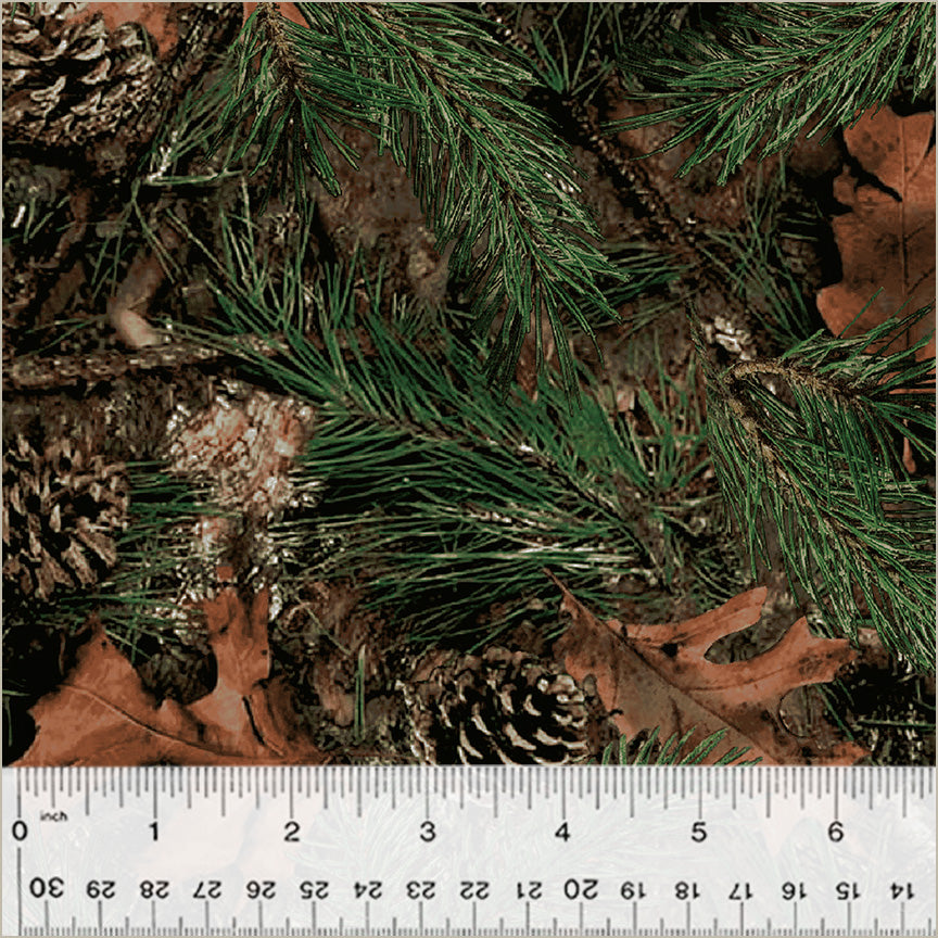 43305A-X-1-0155Y000005zYJGQA2.jpg