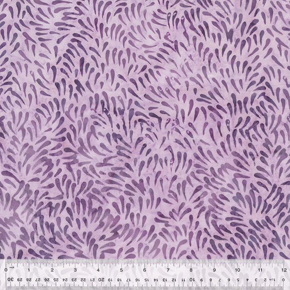 433Q-2-1-0155Y000005s0xuQAA.jpg