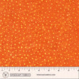 450Q-3-1-015Ud000005OnXpIAK.jpg