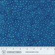 450Q-4-1-015Ud000005Ou1OIAS.jpg
