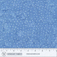 450Q-5-1-015Ud000005Ou30IAC.jpg