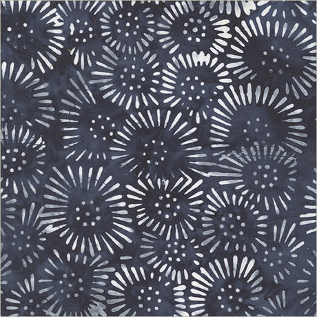 460Q-11-1-015Ud00000IQZNyIAP.jpg