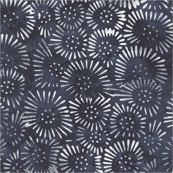 460Q-11-1-015Ud00000IQZNyIAP.jpg