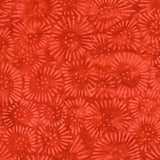 460Q-2-1-015Ud00000IMiWIIA1.jpg