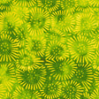 460Q-5-1-015Ud00000IMihaIAD.jpg