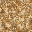 463Q-5-1-015Ud00000IMmEwIAL.jpg