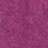 468Q-1-1-015Ud00000IMmWgIAL.jpg