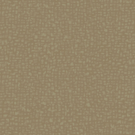 50087-16-1-0155Y000004enSpQAI.jpg
