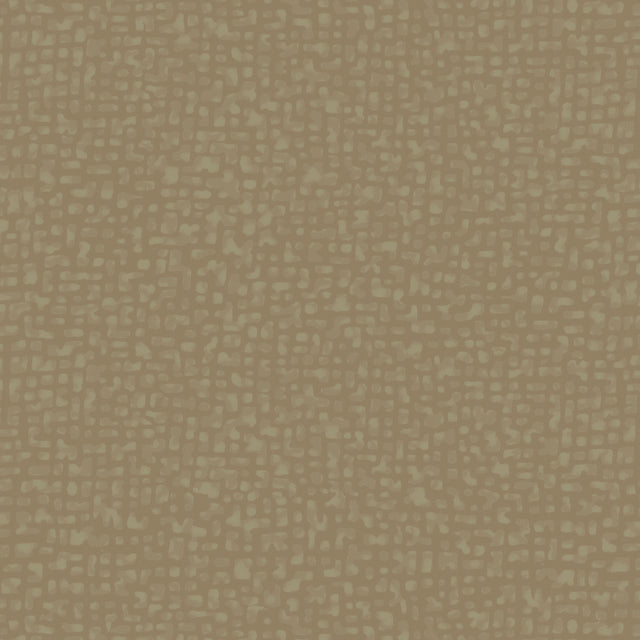 50087-16-1-0155Y000004enSpQAI.jpg