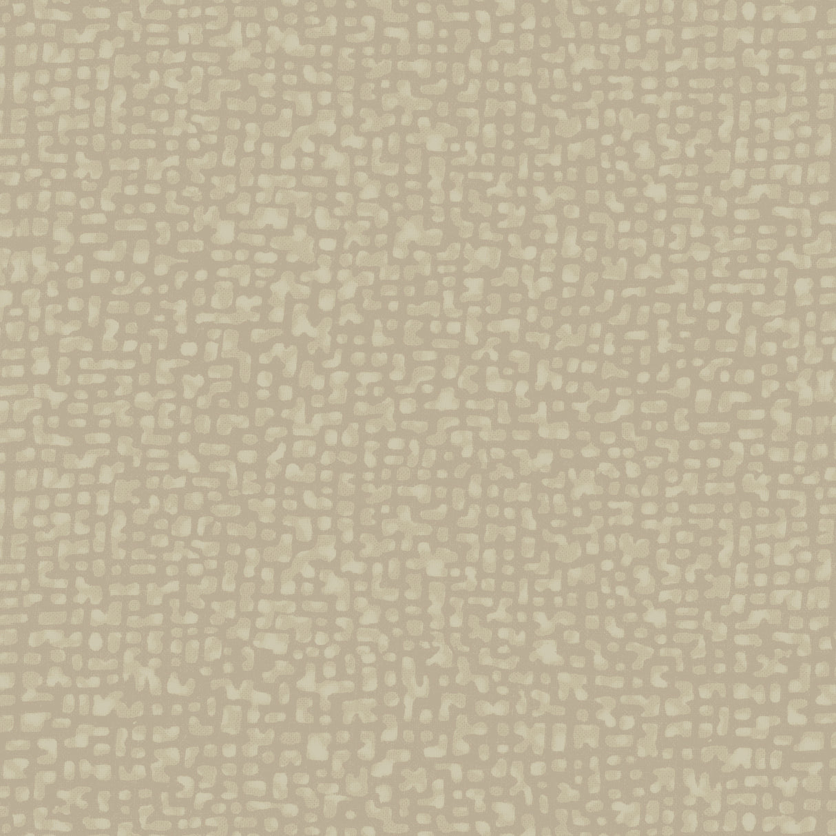 50087-17-1-0155Y000004enSkQAI.jpg