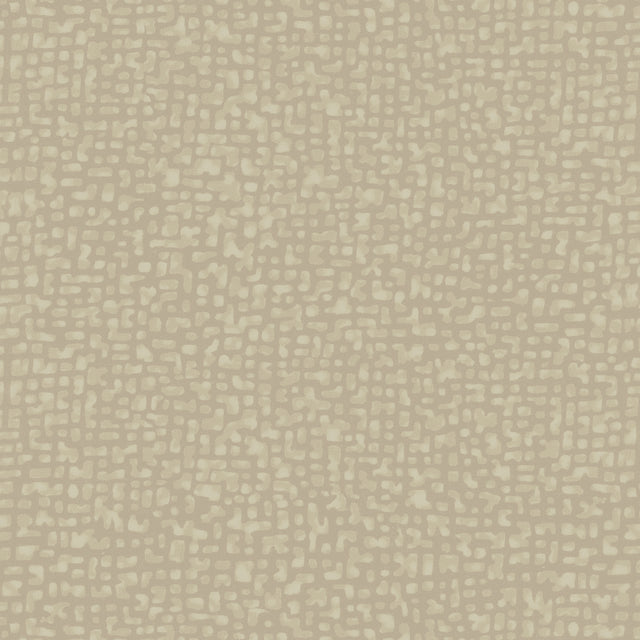 50087-17-1-0155Y000004enSkQAI.jpg