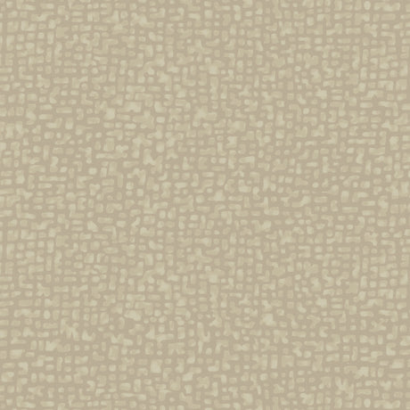 50087-17-1-0155Y000004enSkQAI.jpg