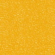 50087-22-1-0155Y000004enPnQAI.jpg