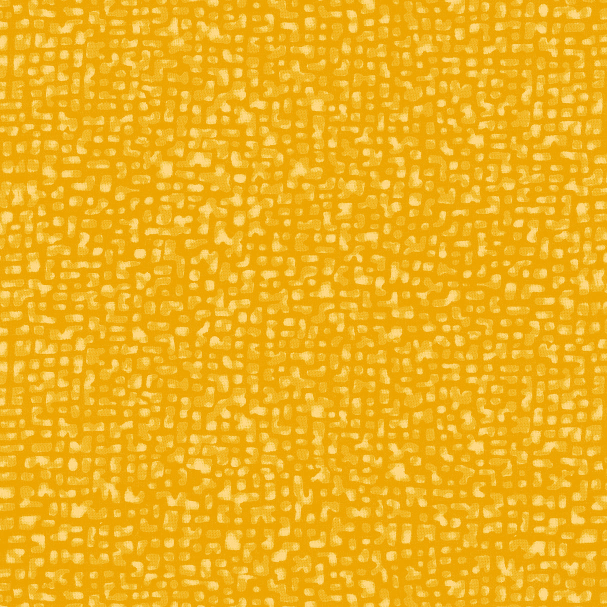 50087-22-1-0155Y000004enPnQAI.jpg